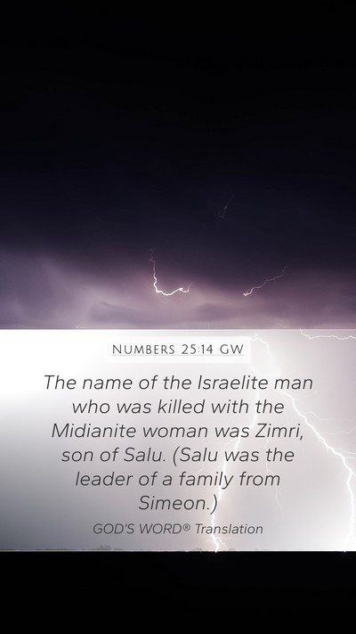 Numbers 25:14 GW Bible Verse Image