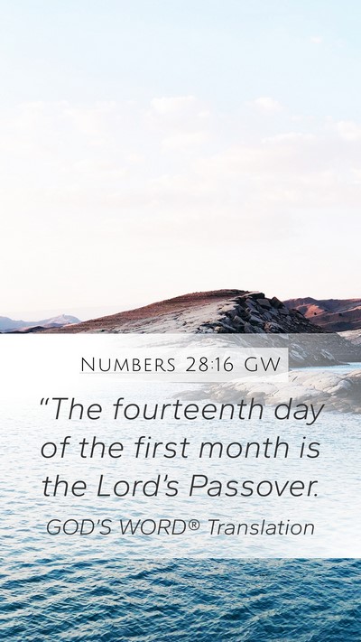 Numbers 28:16 GW Bible Verse Image