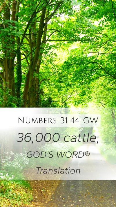 Numbers 31:44 GW Mobile Phone Wallpaper - 36,000 - Mobile Bible Verse Wallpaper