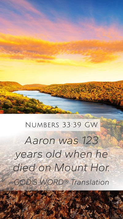 Numbers 33:39 GW Mobile Phone Wallpaper - Aaron was 123 years old when he died on Mount - Mobile Bible Verse Wallpaper