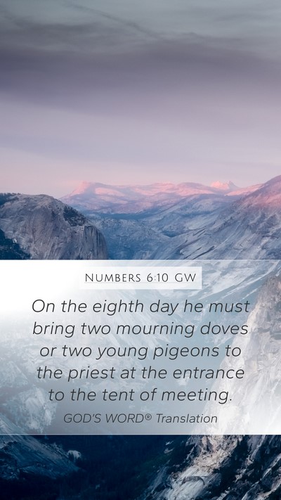 Numbers 6:10 GW Mobile Phone Wallpaper - On the eighth day he must bring two mourning - Mobile Bible Verse Wallpaper