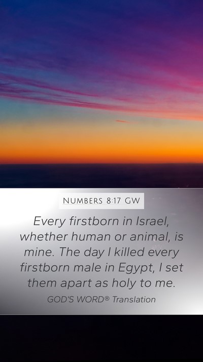 Numbers 8:17 GW Bible Verse Image