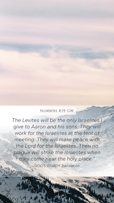 Numbers 8:19 GW Bible Verse Image