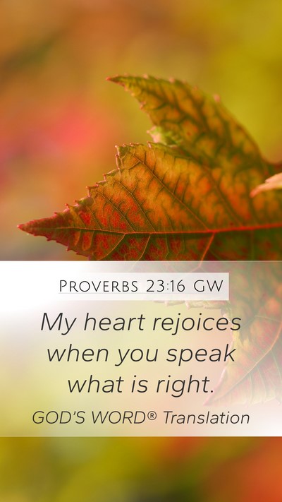 Proverbs 23:16 GW Mobile Phone Wallpaper - My heart rejoices when you speak what is - Mobile Bible Verse Wallpaper