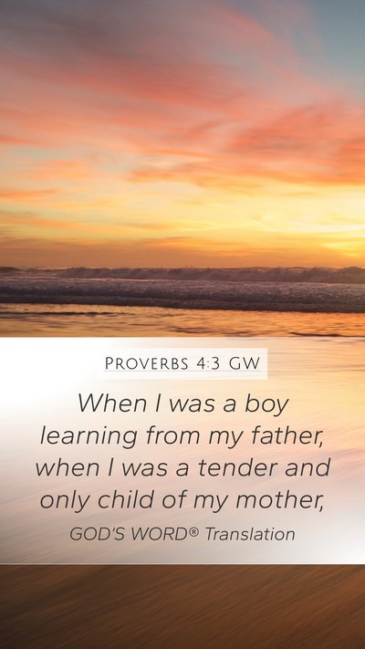 Proverbs 4:3 GW Mobile Phone Wallpaper - When I was a boy learning from my father, when I - Mobile Bible Verse Wallpaper