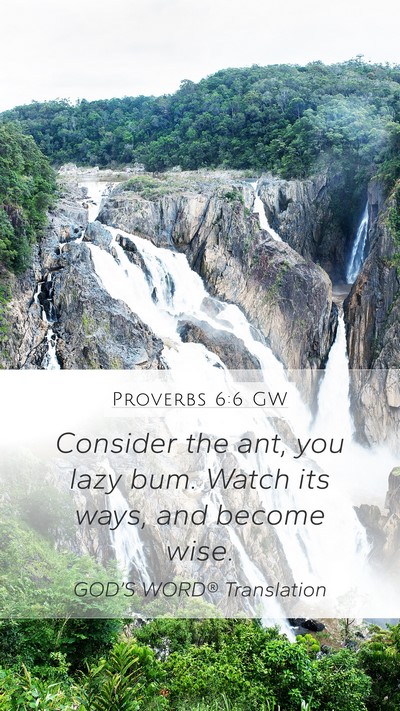 Proverbs 6:6 GW Bible Verse Image