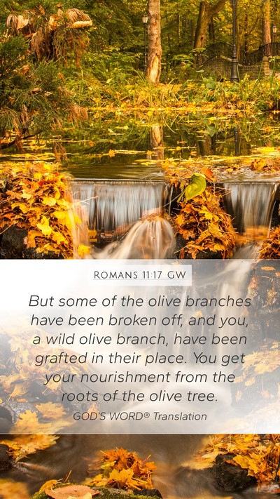 Romans 11:17 GW Bible Verse Image