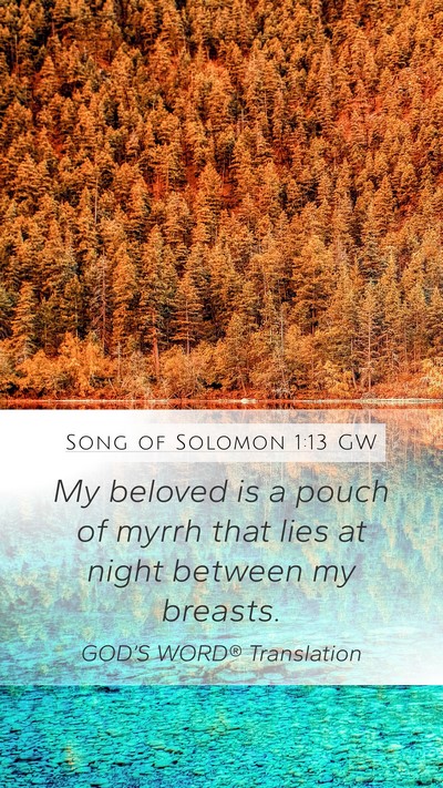 Song of Solomon 1:13 GW Bible Verse Image