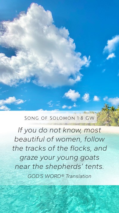 Song of Solomon 1:8 GW Bible Verse Image