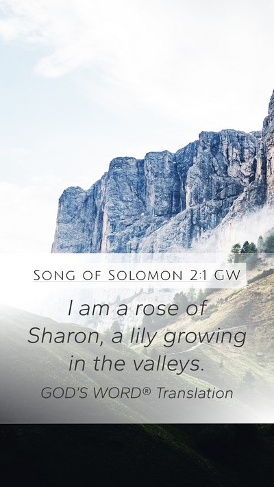Song of Solomon 2:1 GW Bible Verse Image