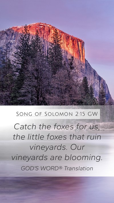 Song of Solomon 2:15 GW Bible Verse Image
