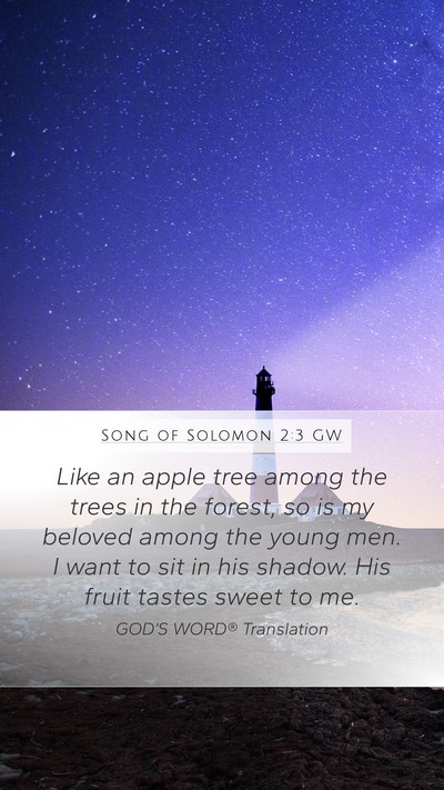 Song of Solomon 2:3 GW Bible Verse Image