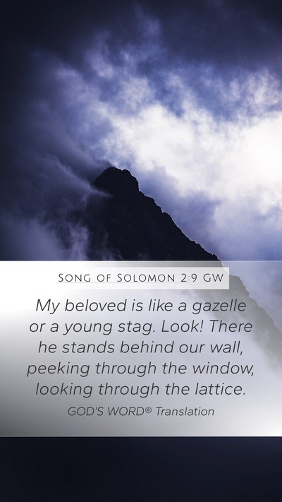 Song of Solomon 2:9 GW Bible Verse Image