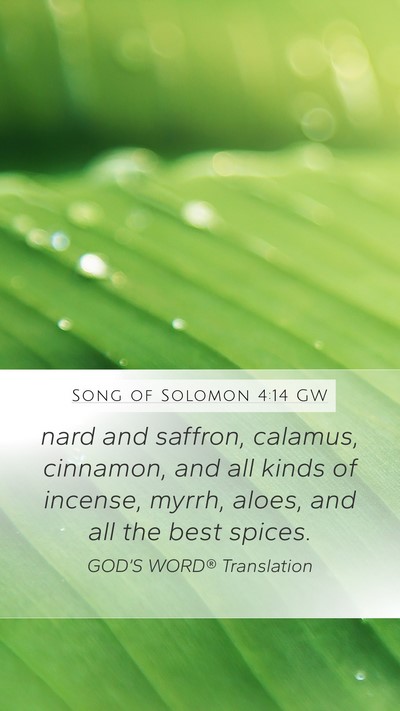 Song of Solomon 4:14 GW Bible Verse Image