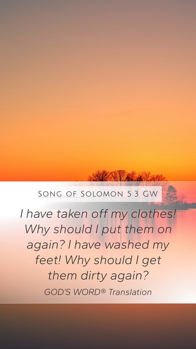 Song of Solomon 5:3 GW Mobile Phone Wallpaper - I have taken off my clothes! Why should I put - Mobile Bible Verse Wallpaper