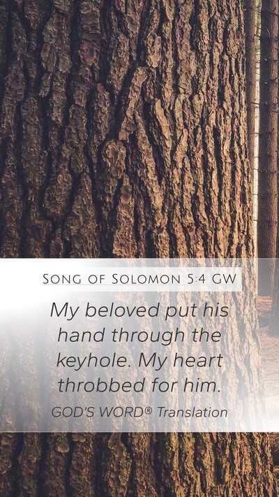 Song of Solomon 5:4 GW Mobile Phone Wallpaper - My beloved put his hand through the keyhole. My - Mobile Bible Verse Wallpaper
