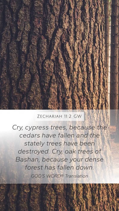 Zechariah 11:2 GW Bible Verse Image