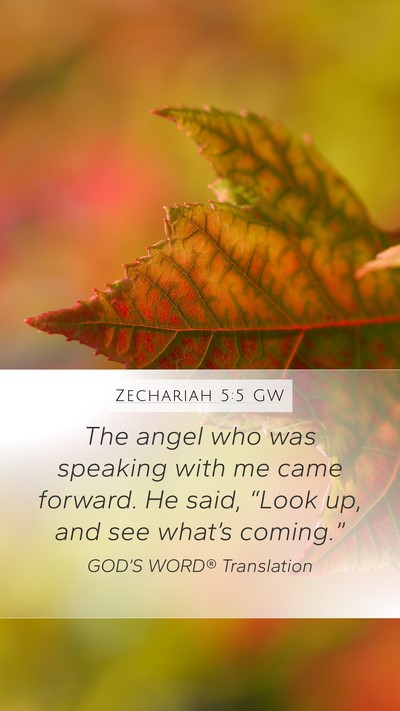 Zechariah 5:5 GW Bible Verse Image